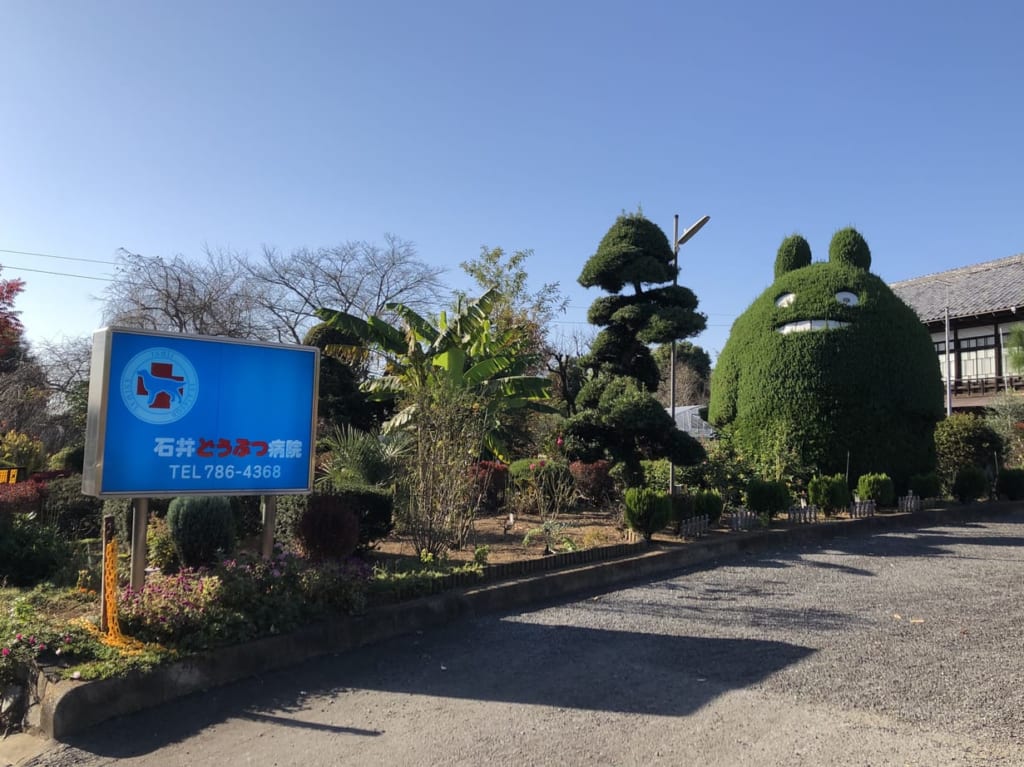 石井どうぶつ病院