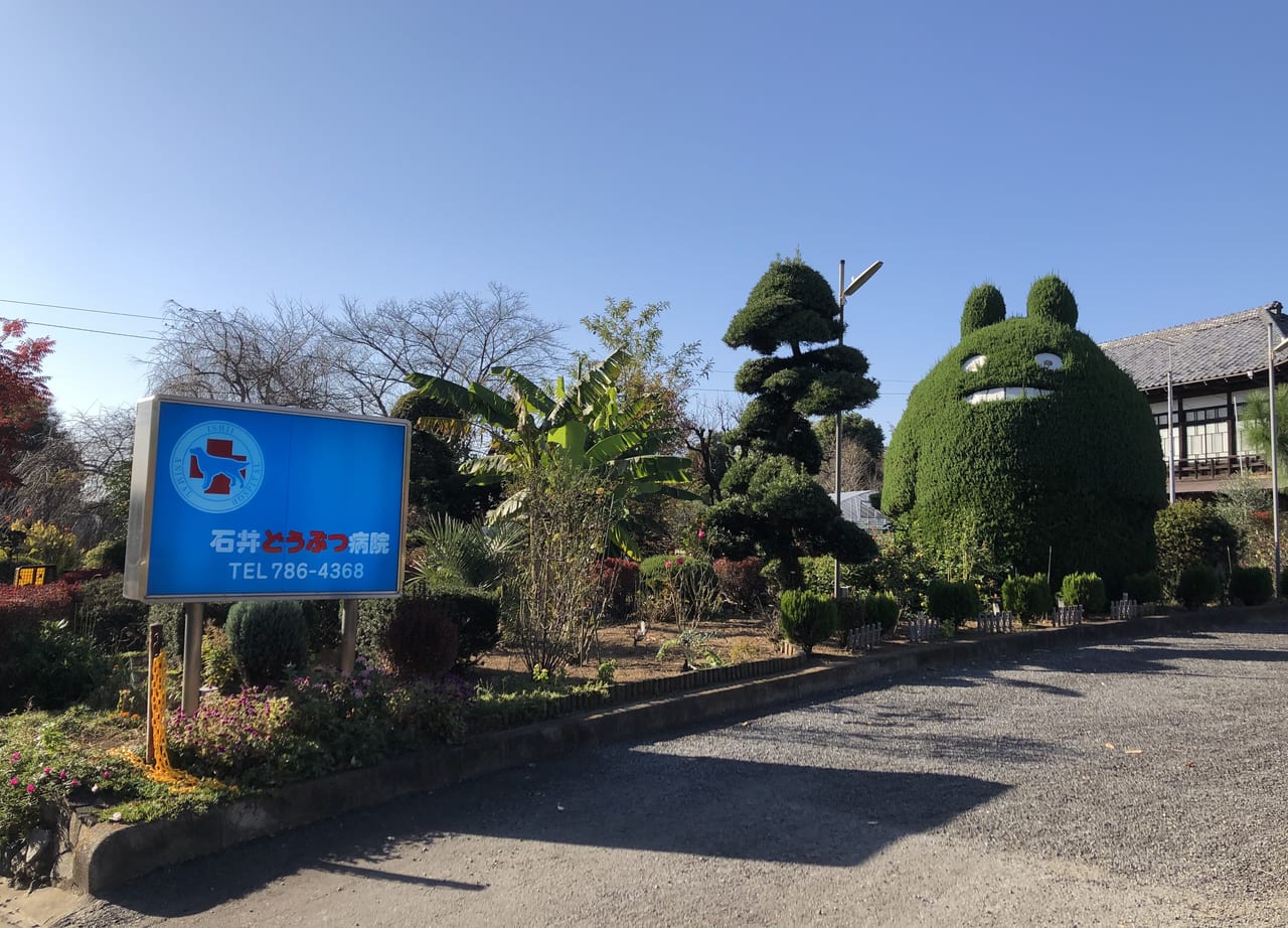 石井どうぶつ病院