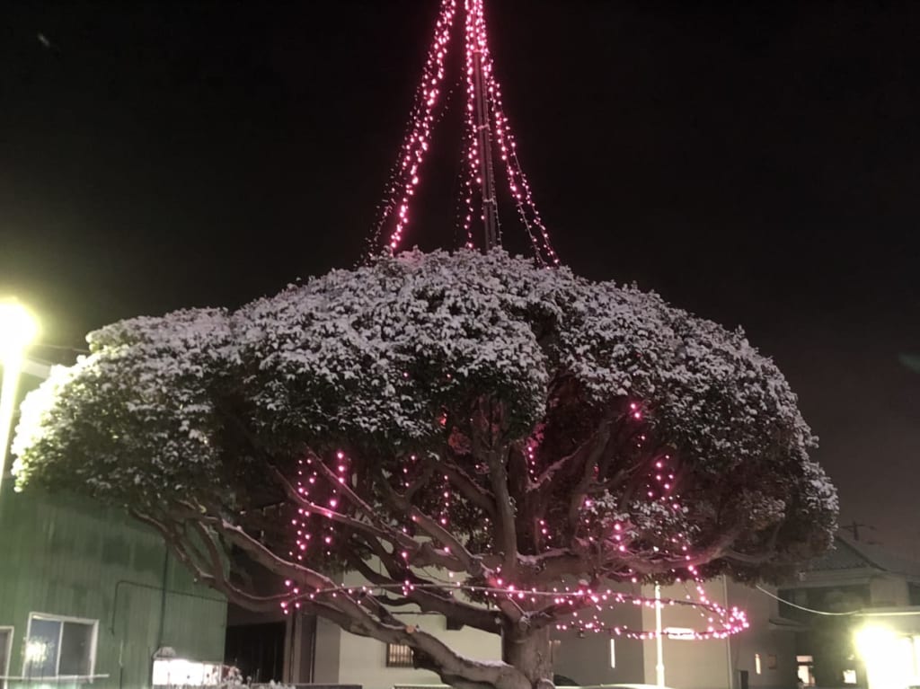 上尾市雪