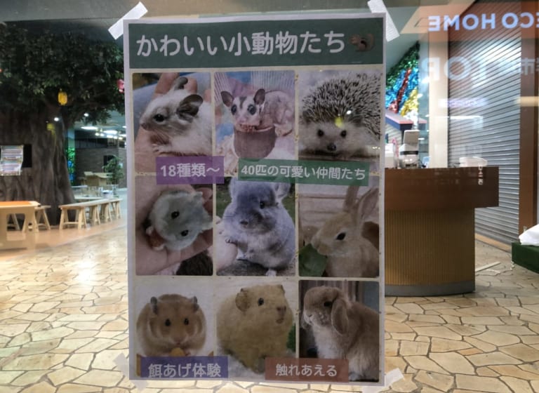 題名ー小さな動物園 絵本・児童書