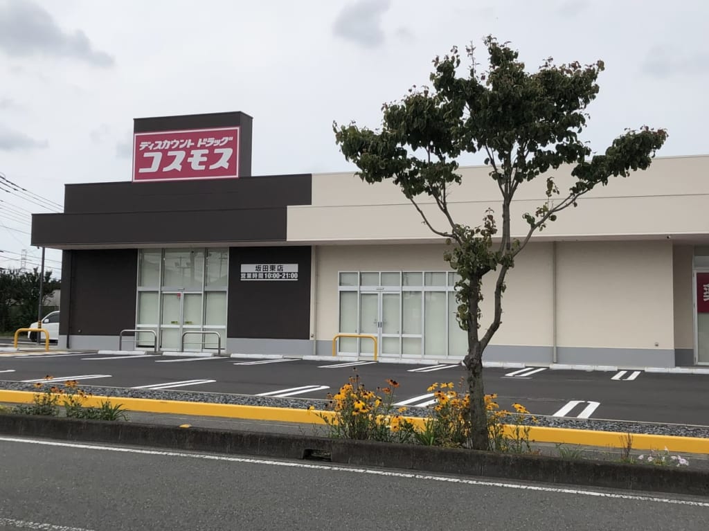 桶川市コスモス