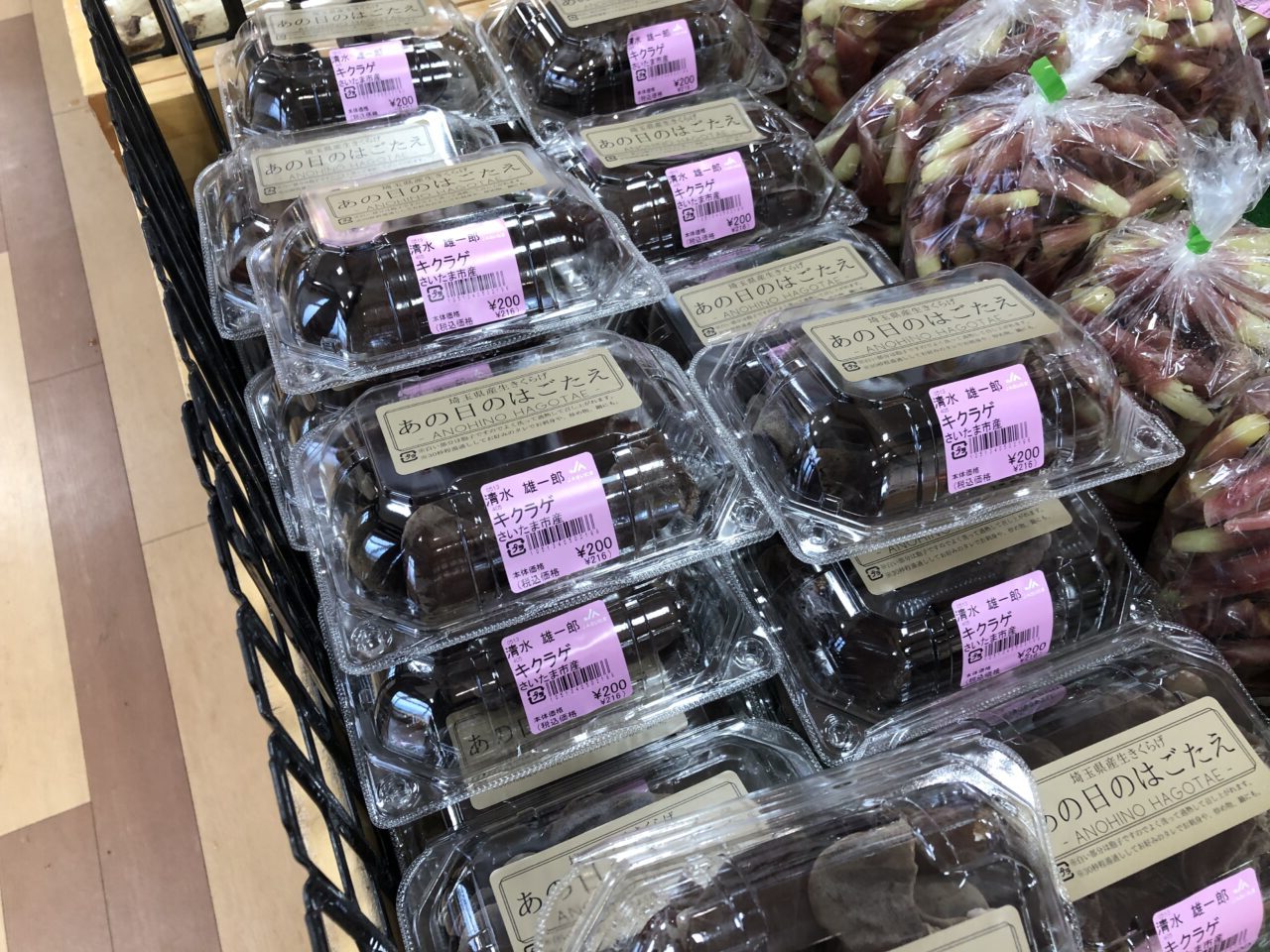 上尾市あの日の歯ごたえ