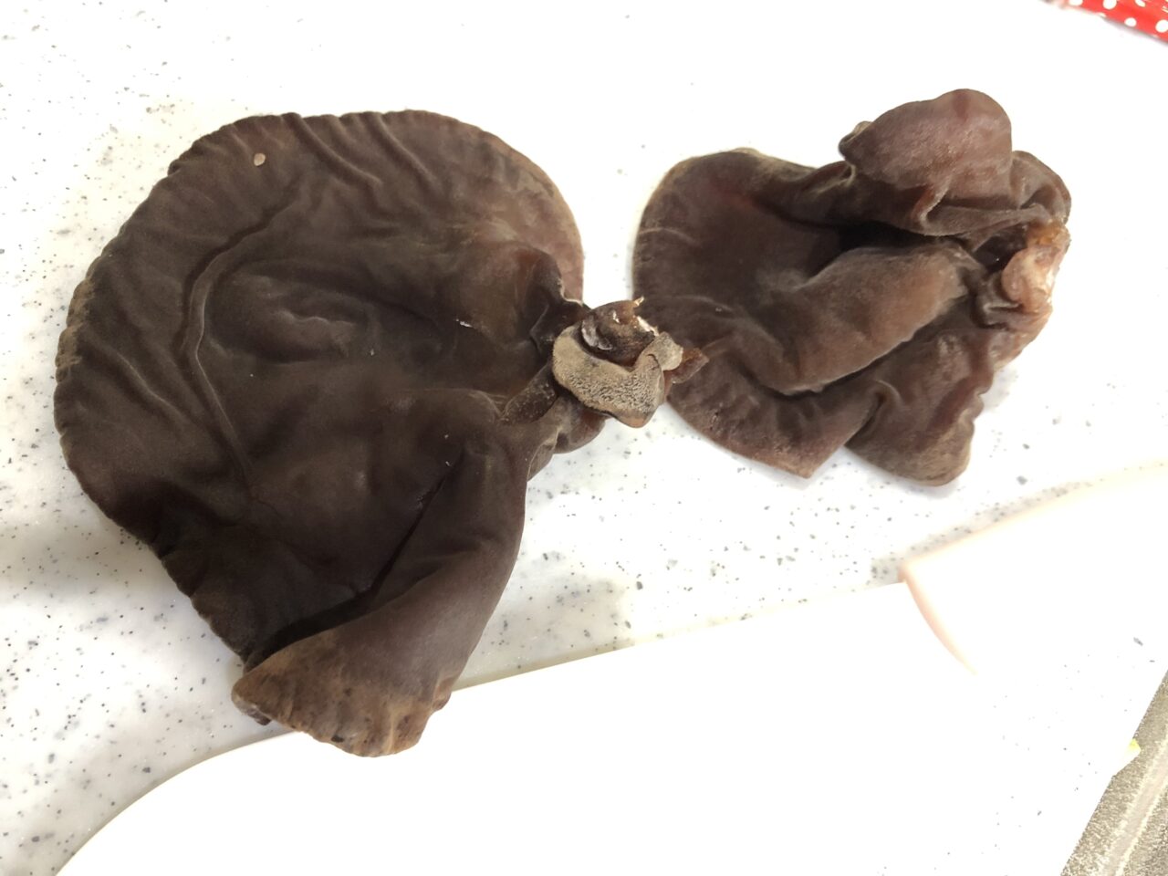 上尾市あの日の歯ごたえ