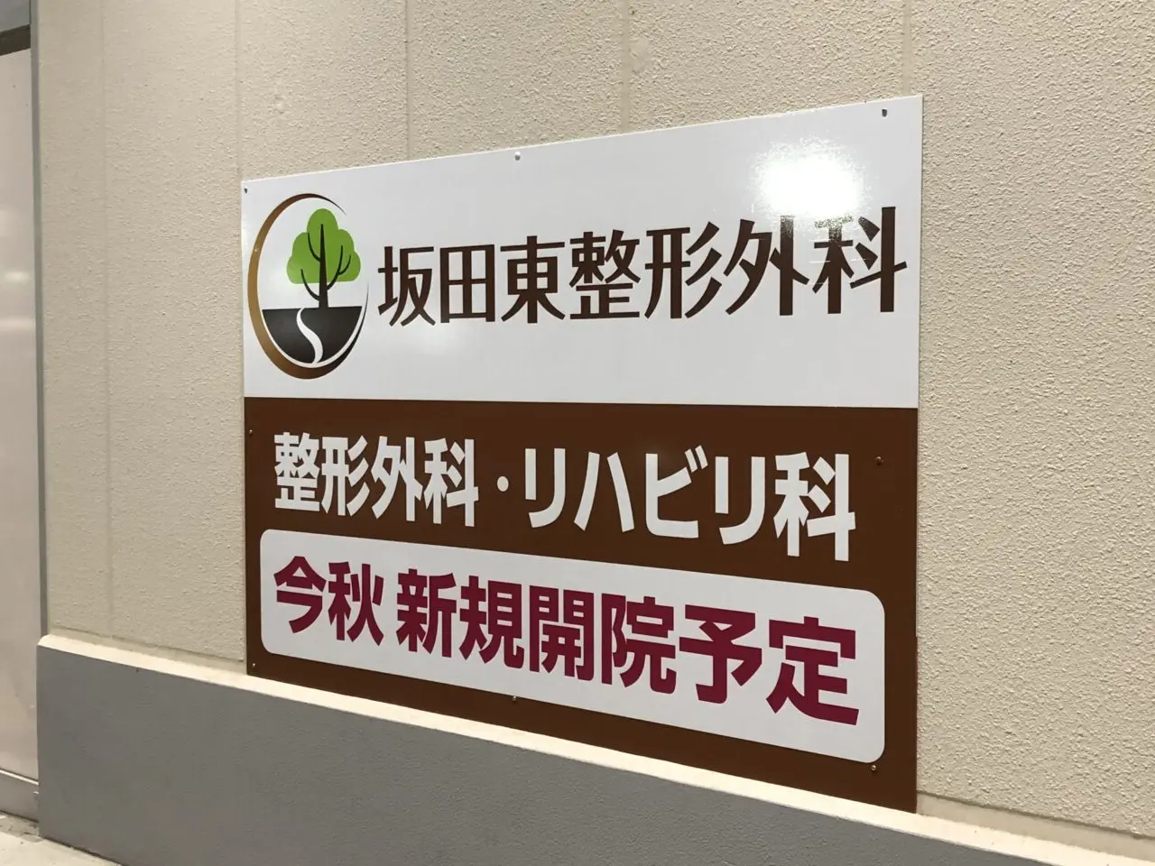 桶川市コスモス
