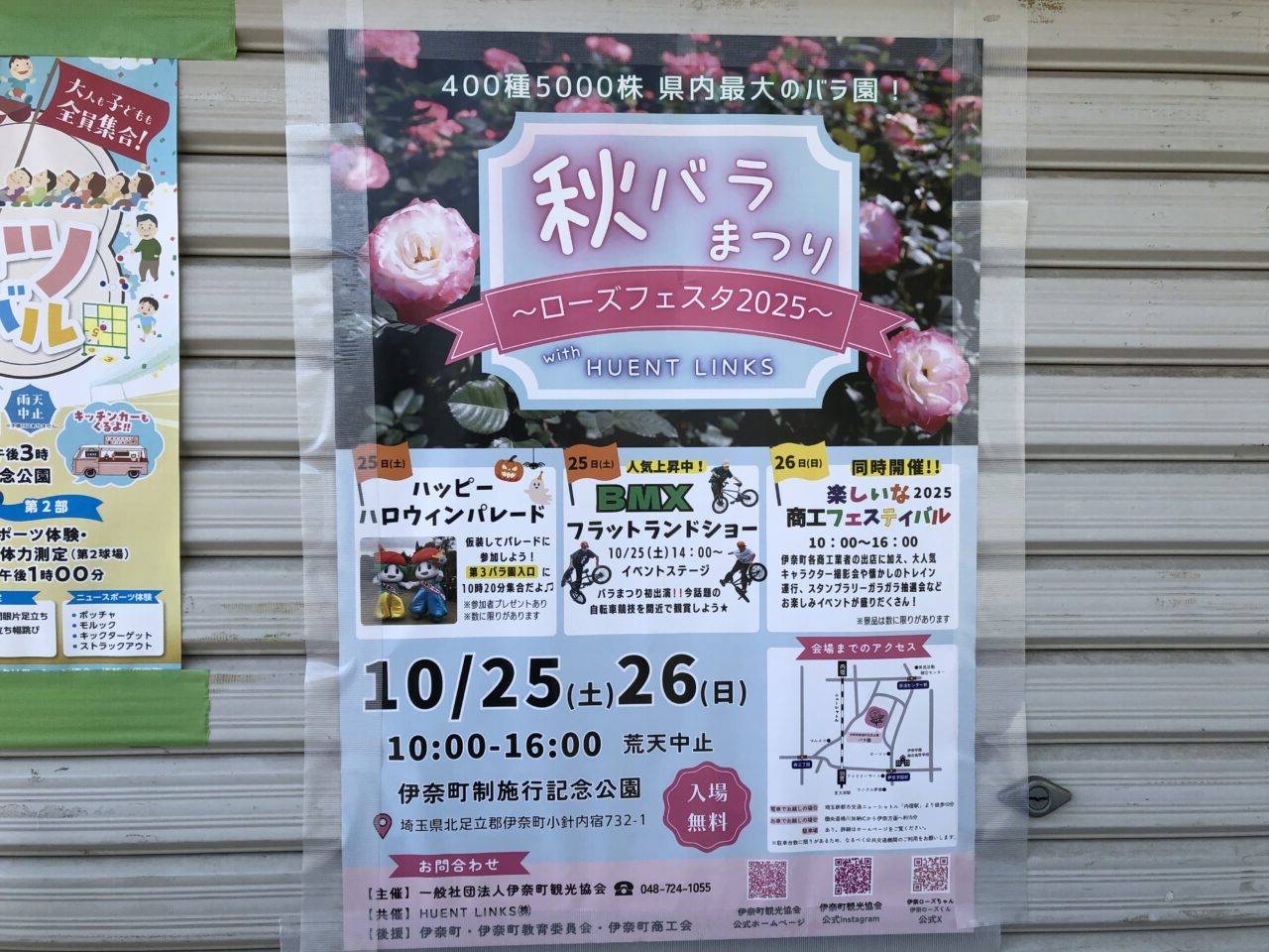 伊奈町秋バラ