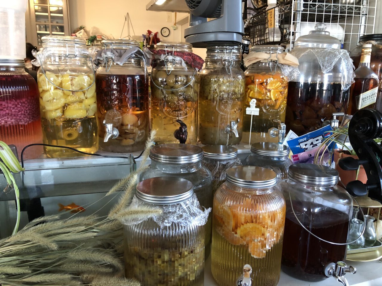 上尾市名前のない店