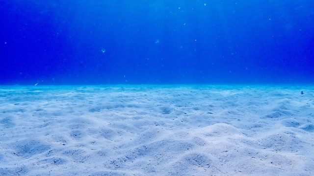 桶川市ベニバナウォーク